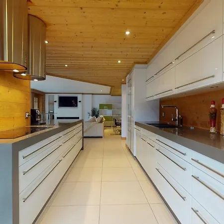 Large Apartment In Villars - Chalet Diane Apartment